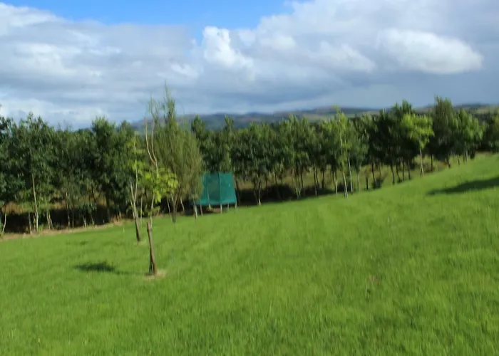 Bunlin Heights Self Catering Milford